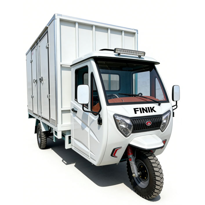 Electric Cargo Tricy