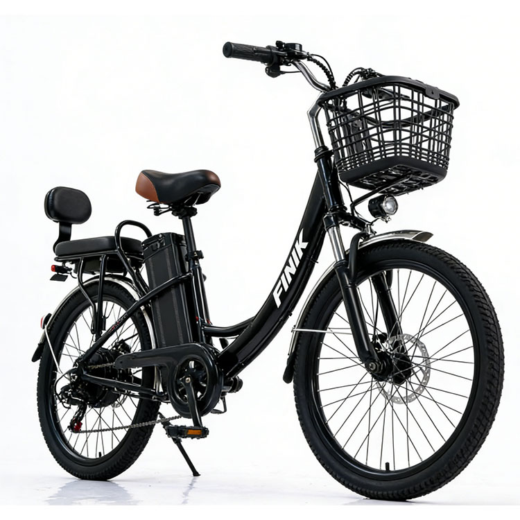 Compact Electric Bik
