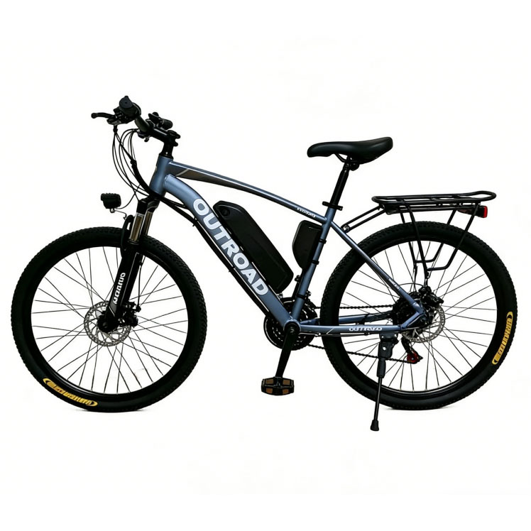 Electric Mountain Bi